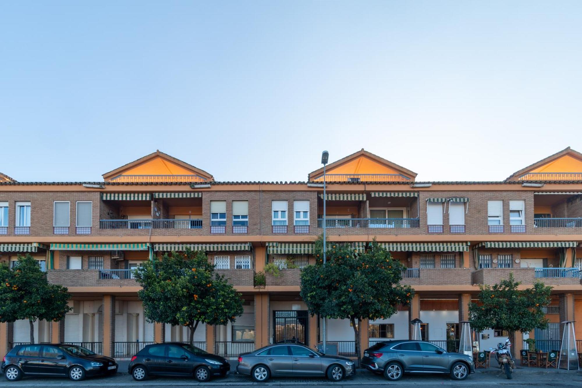 Atico Puente Romano Parking Gratuito 코르도바 외부 사진